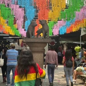 Sabores y Colores del Sur de CDMX