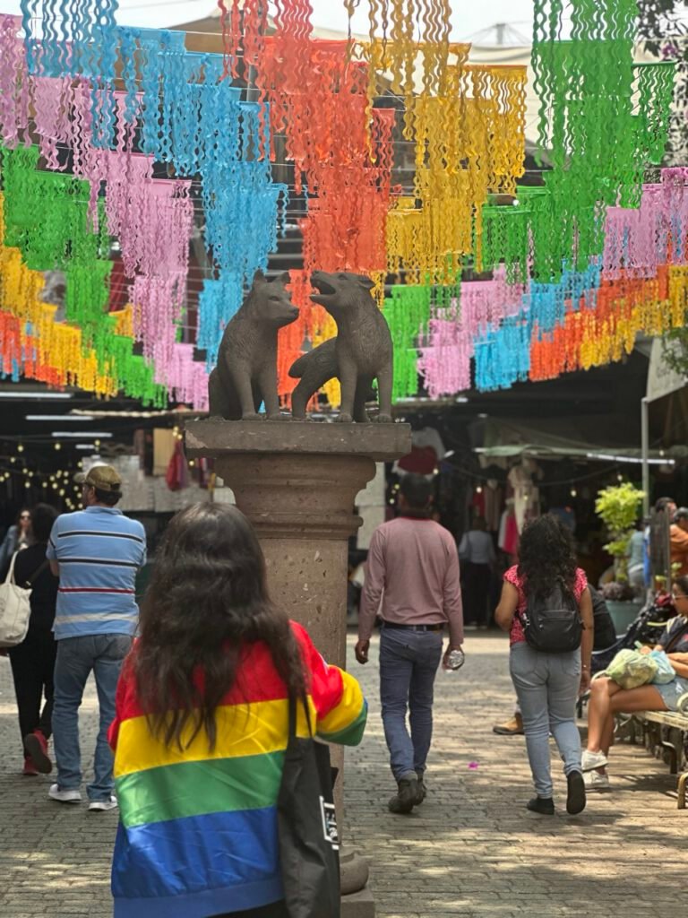 Sabores y Colores del Sur de CDMX