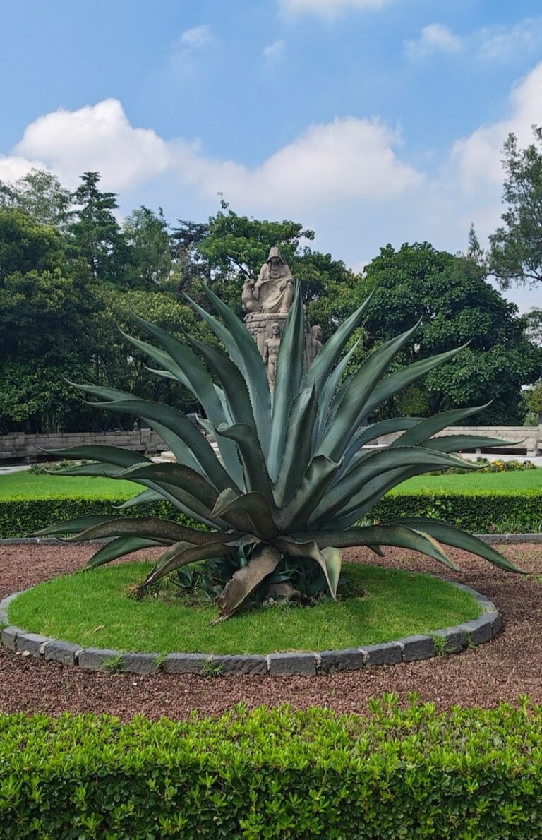 Sabores Ancestrales y Castillo de Chapultepec