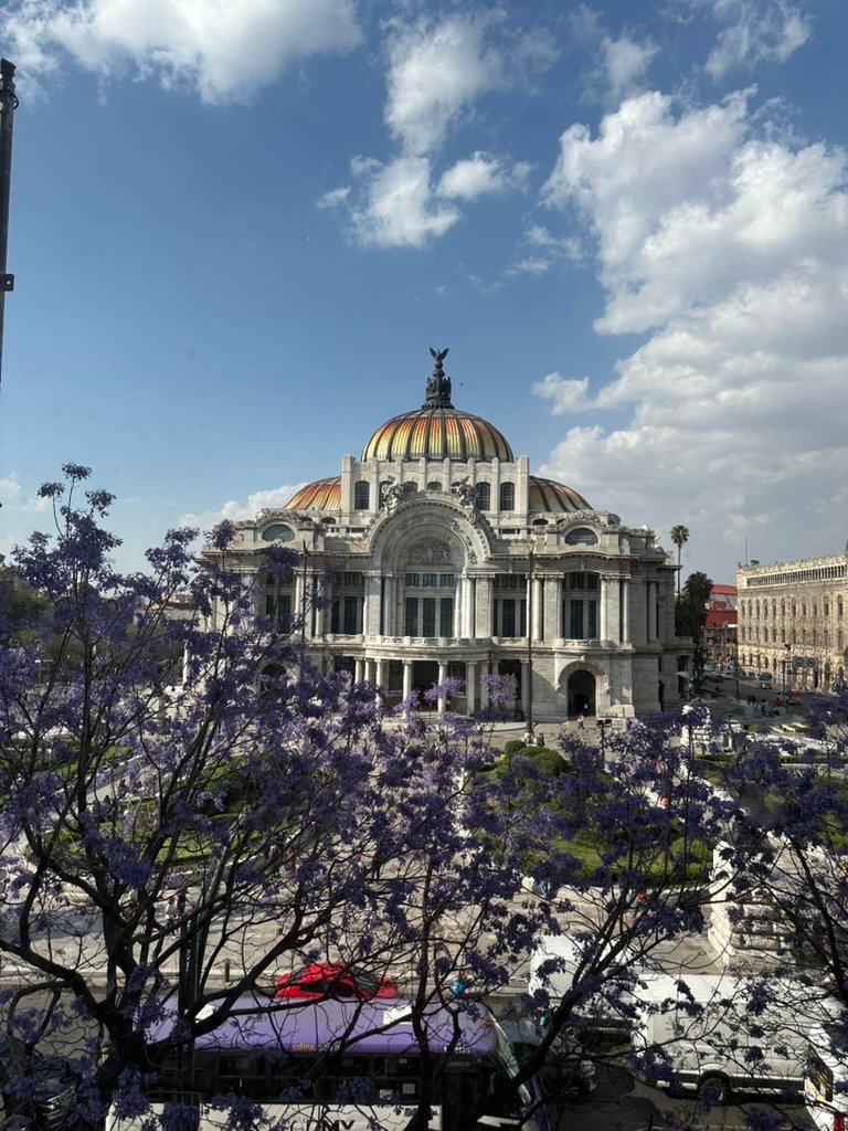 Una Vista del Pasado al Presente: Degustación + Centro Histórico de CDMX