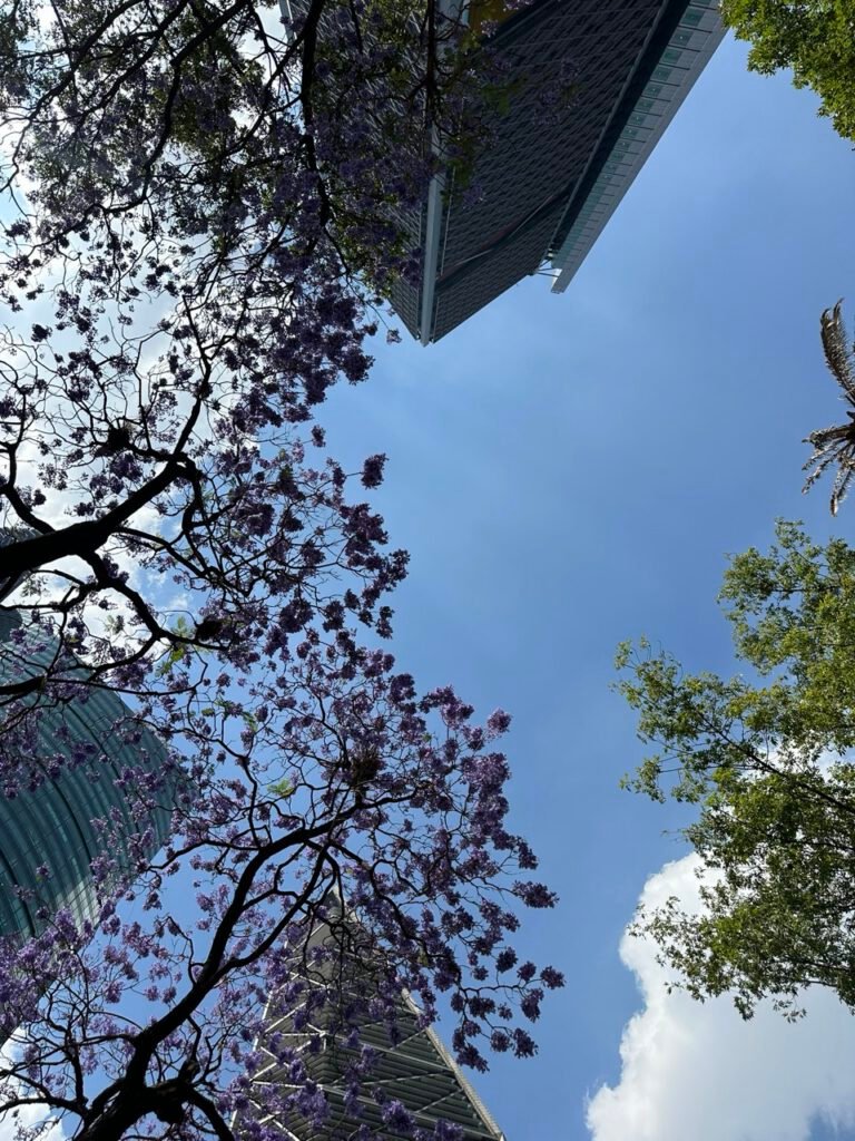 Una Vista del Pasado al Presente: Degustación + Centro Histórico de CDMX